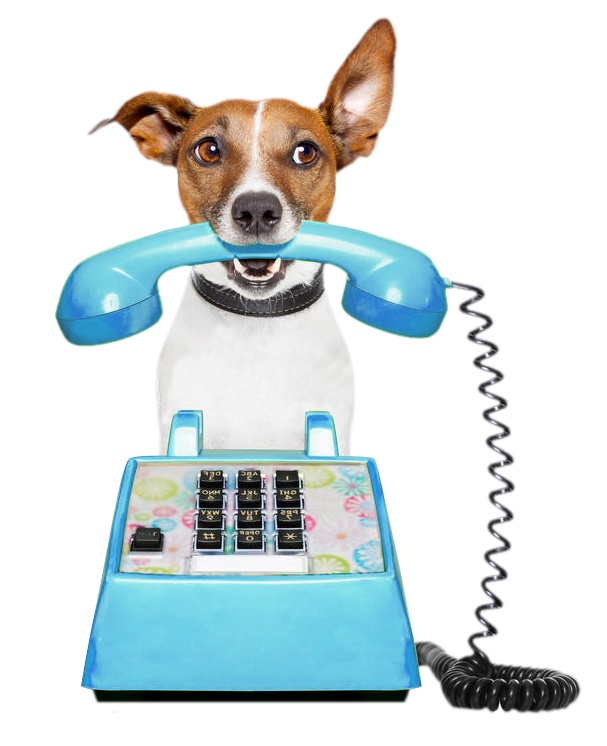 hond-telefoon
